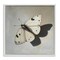 Stupell Industries Velvet's Butterfly Wings Framed Giclee, design by Svetlana Aleynikova